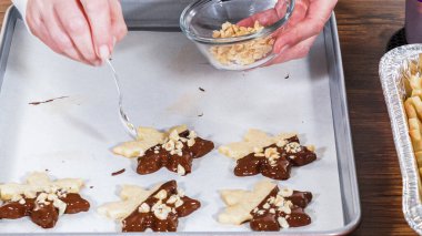 Çikolataya batırılmış ve çeşitli malzemeler serpiştirilmiş yıldız şeklinde tatil kurabiyeleri..