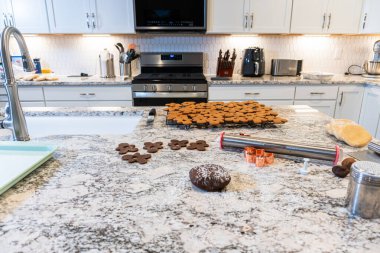 Çağdaş beyaz bir mutfakta zencefilli kurabiye hamuru ustalıkla sarılır ve nefis bir tatil ziyafeti için zemin hazırlar..