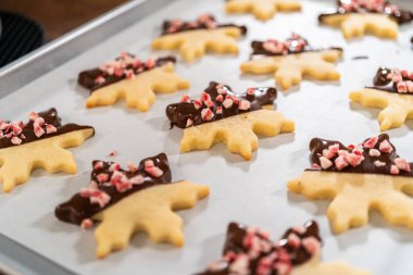 Yıldız şeklinde kurabiyeler hazırlıyorum, çikolataya yarı daldırılmış, bayram için naneli çikolata parçacıkları ile aksanlı..