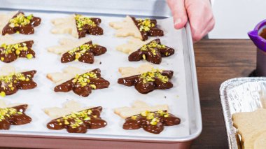 Çikolataya batırılmış ve çeşitli malzemeler serpiştirilmiş yıldız şeklinde tatil kurabiyeleri..