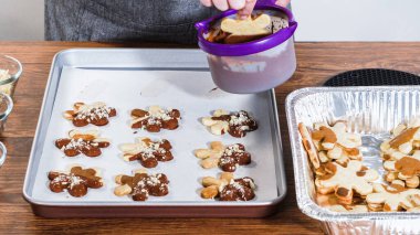 Çikolataya batırılmış ve çeşitli malzemeler serpiştirilmiş yıldız şeklinde tatil kurabiyeleri..