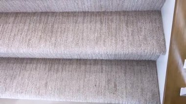 Plush Halı Merdiveni ile Modern Ev İçi