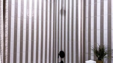 Düzgün döşenmiş bir banyoda, çizgili duvarlara dayanan el değmemiş beyaz bir küvet ve tuvalet, sofistike, minimalist bir atmosfer için siyah donanımla güçlendirilmiştir..