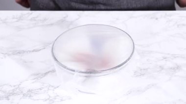 Çilekler, yeni yıkanmış ve kurutulmuş, cam bir kasede güzelce depolanmış kağıt havluyla kaplanmış ve tazeliği korumak için plastikle kaplanmış..