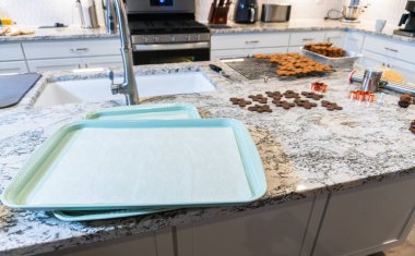 Zencefilli kurabiyeler, mükemmel soğutulmuş ve parşömen kağıdıyla kaplı bir kabın üzerine yerleştirilmiş, fırında pişirmek için sıralarını bekliyorlar..