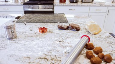 Çeşitli şenlikli kurabiye kesicilerle mermer tezgahtaki rulo hamurdan sevimli zencefilli kurabiyeler kesip modern mutfağa bayram neşesi getiriyorduk..