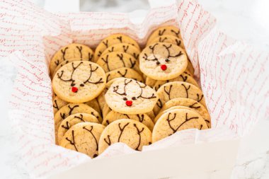 Çikolata boynuzları, şeker burunları ve küçük gözlerle süslenmiş, içinde Easy Last Minute Ren Geyiği Şekeri Kurabiyeleri olan beyaz bir hediye kutusunun tepeden tırnağa yakın çekimi. Kurabiyeler güzelce yerleştirildi.