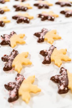 Parşömen kağıdında ezilmiş nane şekeriyle kaplı çikolata soslu kar tanesi şekerli kurabiyenin yakın çekimi..