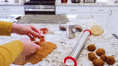 Çeşitli şenlikli kurabiye kesicilerle mermer tezgahtaki rulo hamurdan sevimli zencefilli kurabiyeler kesip modern mutfağa bayram neşesi getiriyorduk..