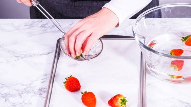 Sulu kırmızı çilekler, daha yeni yıkanmış, kabartma çarşafına serilmiştir, aşırı nemi emmek ve küfü önlemek için dikkatlice kağıt havlularla kaplanmıştır..