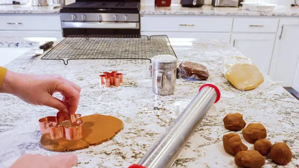 Çeşitli şenlikli kurabiye kesicilerle mermer tezgahtaki rulo hamurdan sevimli zencefilli kurabiyeler kesip modern mutfağa bayram neşesi getiriyorduk..