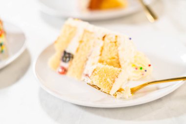 Tek bir vanilyalı pasta diliminin yan görüntüsü havadar katmanlarını, şekerleme borularını ve canlı serpintilerini gösteriyor. Pasta dilimi, ince bir gölgesi ve parlak bir ambiyansı olan temiz beyaz bir tabağa dayanıyor..