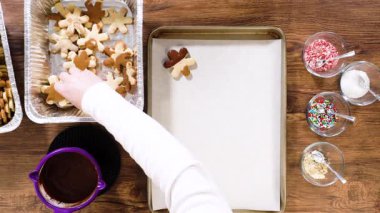 Düz yatıyordu. Yıldız şeklinde kurabiyeler hazırlıyorum, çikolataya yarı daldırılmış, bayram için naneli çikolata parçacıkları ile aksanlı..