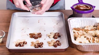 Yıldız şeklinde kurabiyeler hazırlıyorum, çikolataya yarı daldırılmış, bayram için naneli çikolata parçacıkları ile aksanlı..