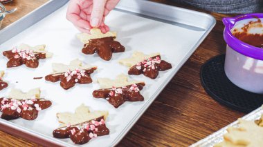 Çikolataya batırılmış ve çeşitli malzemeler serpiştirilmiş yıldız şeklinde tatil kurabiyeleri..