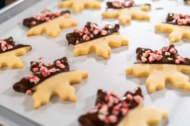 Yıldız şeklinde kurabiyeler hazırlıyorum, çikolataya yarı daldırılmış, bayram için naneli çikolata parçacıkları ile aksanlı..