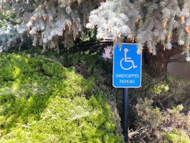 Engelli park levhası, her yer yeşil ağaçlar ve çalılarla çevrili bir alanda asılıdır. Mavi erişilebilirlik sembolü doğal çevreye karşı duruyor. Aydınlık bir gün.