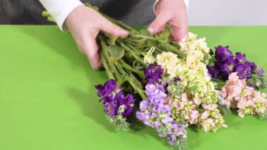 Dolu bir buket çiçek parlak yeşil bir yüzeye dayanır. Çiçekler, dışa doğru uzanan sapları olan dar bir küme halinde dizilmiştir..