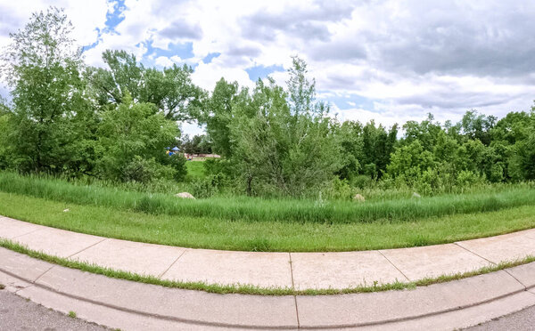 A grassy green belt flanked by trees and a sidewalk, captured on a partly cloudy day. The scene is calm, open, and surrounded by lush vegetation in a suburban environment.