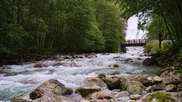 Eau Une Rivière Qui Coule Dans Une Forêt — Video