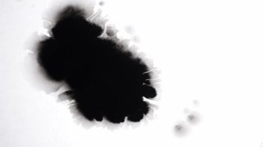 Siyah Arkaplanda Mürekkep Düşüyor 4k Görüntü Mürekkep Görüntüsü Geçiş Beyaz Mürekkep Damlaları Siyah Arkaplanda Düşüyor