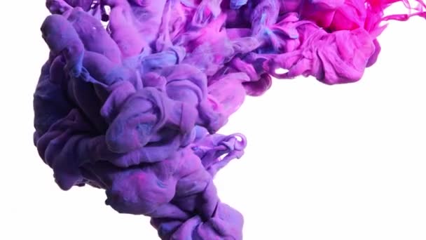 Magische Farbmischung Wolke Aus Seidiger Tinte Wasser Isoliert Auf Schwarzem — Stockvideo