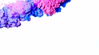 Renklerin sihirli karışımı. Siyah arka planda izole edilmiş suda ipeksi mürekkep bulutu. Suda renkli mürekkep, mürekkep damlası. Mor, mavi, pembe.