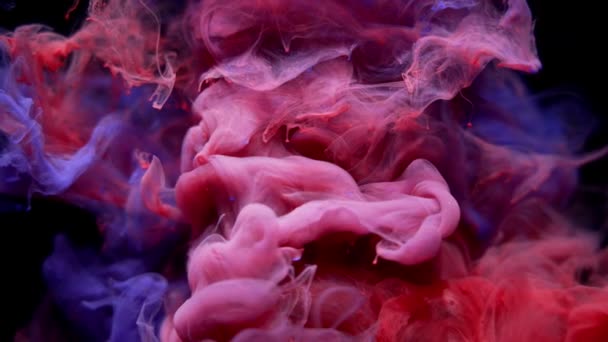 Mélange Nuages Encre Colorés Peinture Dispersant Dans Eau Ralenti Arrière — Video