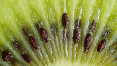 Yakın plan Kivi Dilimleri Rotasyonu: Siyah Arkaplanda Canlı Yeşil Fruit Macro Video Görüntüsü. Taze ve Sulu Tropikal Kiwimeyveler Yavaşça Dönen Yiyecek veya Doğa Konsepti.