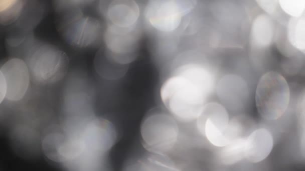 模糊的黑色和白色抽象圣诞4K视频Bokeh 它是在阳光灿烂的天空背景下隔绝的自然树叶子的脱光聚光粒子 — 图库视频影像