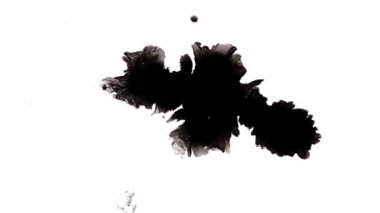 Siyah Arkaplanda Mürekkep Düşüyor 4k Görüntü Mürekkep Görüntüsü Geçiş Beyaz Mürekkep Damlaları Siyah Arkaplanda Düşüyor