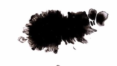 Siyah Arkaplanda Mürekkep Düşüyor 4k Görüntü Mürekkep Görüntüsü Geçiş Beyaz Mürekkep Damlaları Siyah Arkaplanda Düşüyor