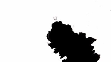 Siyah Arkaplanda Mürekkep Düşüyor 4k Görüntü Mürekkep Görüntüsü Geçiş Beyaz Mürekkep Damlaları Siyah Arkaplanda Düşüyor
