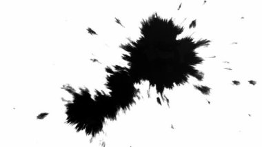 Siyah Arkaplanda Mürekkep Düşüyor 4k Görüntü Mürekkep Görüntüsü Geçiş Beyaz Mürekkep Damlaları Siyah Arkaplanda Düşüyor