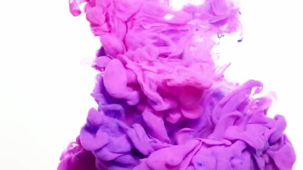 Eine Schöne Mischung Aus Acrylfarbe Wasser Weißer Hintergrund — Stockvideo