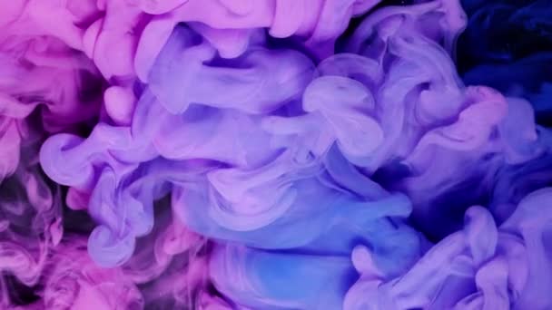 ピンクとブルーインククラウドの衝突 水に溶け込む スローモーション 黒の背景 要約モーション背景 アート効果 — ストック動画