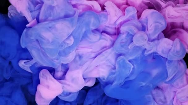 Różowa Niebieska Kolizja Chmur Atramentu Mieszanie Farb Wodzie Zwolniony Ruch — Wideo stockowe