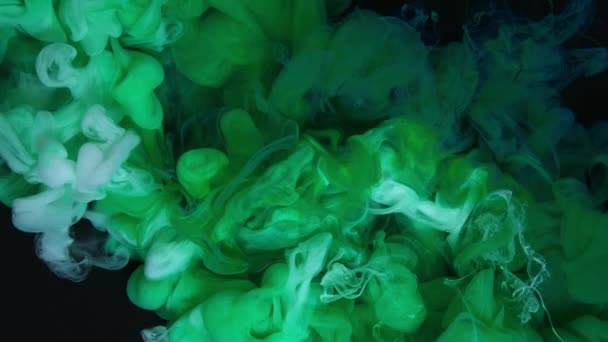 Grüne Und Gelbe Farbe Spritzen Sich Gegenseitig Wasser Vor Schwarzem — Stockvideo