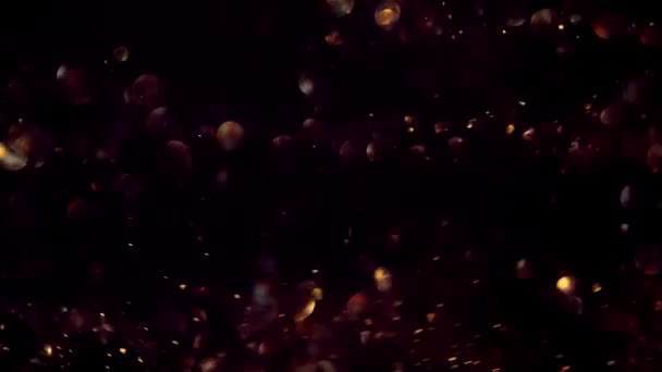 Golden Particles Bokeh Abstract Background Shining Gold Floating Dust Particles — Video