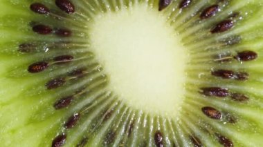 Yakın plan Kivi Dilimleri Rotasyonu: Siyah Arkaplanda Canlı Yeşil Fruit Macro Video Görüntüsü. Taze ve Sulu Tropikal Kiwimeyveler Yavaşça Dönen Yiyecek veya Doğa Konsepti.