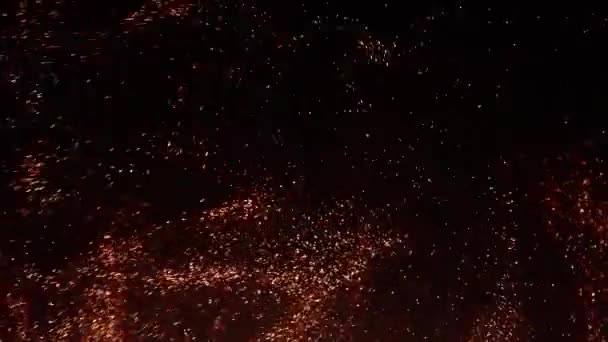 Kara Arkaplan Parlayan Altın Rengi Yüzen Toz Parçacıkları Bokeh Yıldızı — Stok video