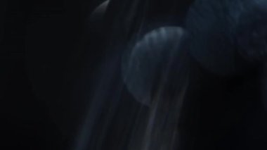 Titrek Mavi Spektrum Bokeh Kristalleri Harekette.