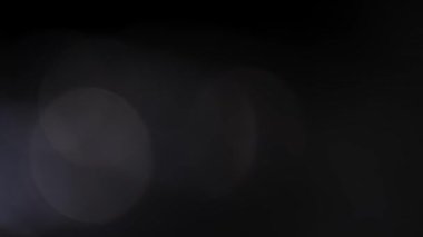 Bulanık siyah ve beyaz soyut Noel 4k video görüntüsü yanıp sönen parlayan ağaç yaprakları güneşli arka planda izole edilmiş.