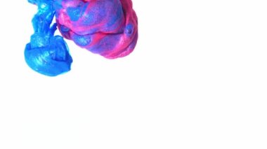 Mavi ve kırmızı mürekkep beyaz arkaplanda suda karışıyor. Yavaş çekim.