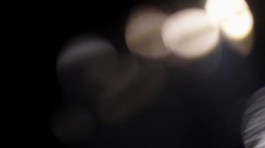 Bulanık siyah ve beyaz soyut Noel 4k video görüntüsü yanıp sönen parlayan ağaç yaprakları güneşli arka planda izole edilmiş.