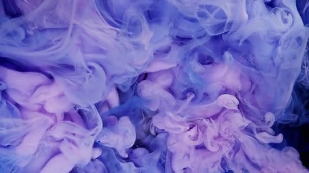 Μαγική Μίξη Χρωμάτων Σύννεφο Μεταξένιου Μελανιού Νερό Που Απομονώνεται Μαύρο — Αρχείο Βίντεο