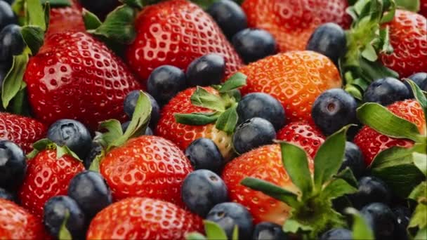 Fructe Pădure Sălbatice Fundal Negru Colecție Căpșuni Afine Mure — Videoclip de stoc