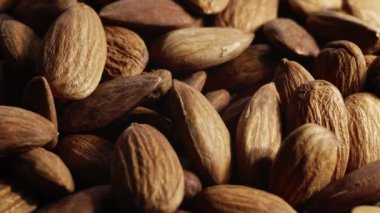 Almond Nuts close up macro shot with selective focus. Healthy organic nutrition eating