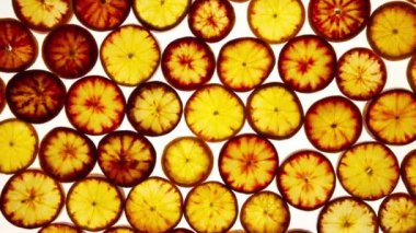 Socelian portakal dilimleri dönüş arkaplanı.