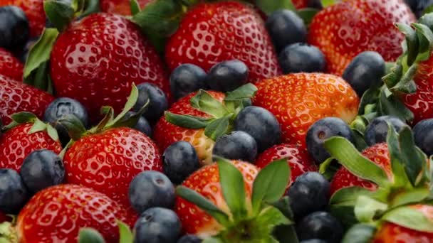 Çilek Böğürtlen Meyveleri Manzarayı Kapatır Seçici Odak — Stok video